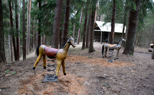 23_Silenu pazintinis takas1 (3).jpg